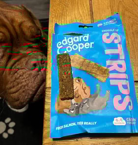 A Close up of Ember sniffing the Snuggle up Strips in Salmon & Chicken flavour