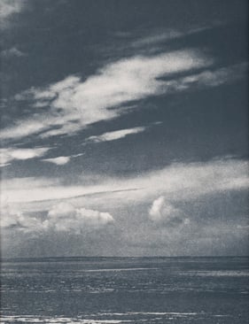 Tirage cyanotype viré au café mer obscure 2 en vente