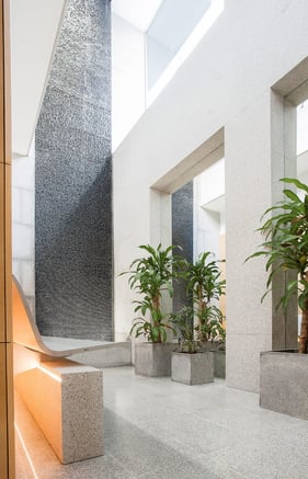 Bright and calming clinic hallway with greenery and stone walls.