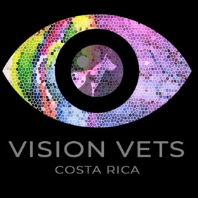 VisionVetsCR logo