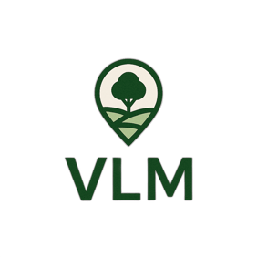 VLM logo