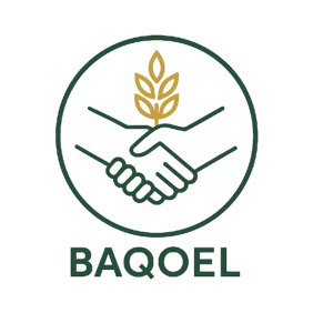 Baqoel Group logo