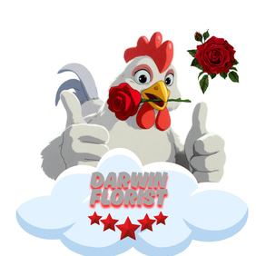 Darwin Florist logo