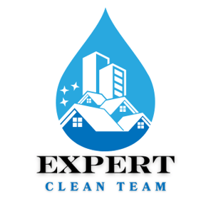 Expert Clean Team logo