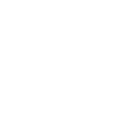 Tamewi logo