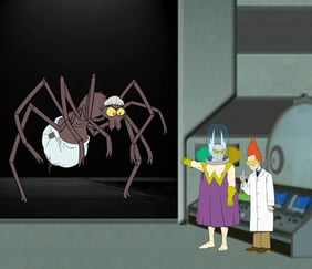 Talking Spider