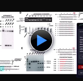 Demo of VIP an AI-driven Vision pilot on a Medical Graph 
