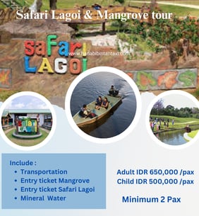 Safari Lagoi & Mangrove