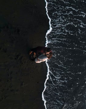 Couple standing on a beach with an areal view