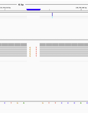 indel SNP visualized in IGV