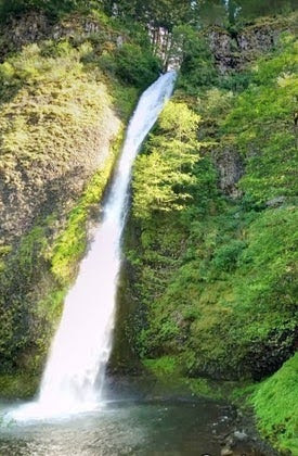 Columbia River Gorge - Horsetail Falls plummets into a pool at the bottom
