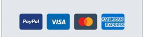 we accept Visa PayPal Mastercard and American Expreee