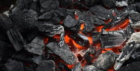 HARDWOOD charcoal briquettes