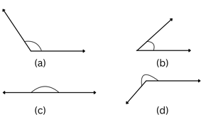 NAPLAN Year 5 Geometry