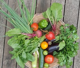 récolte issue d'un jardin écoresponsable: produire ses légumes, c'est prendre soin de la planète