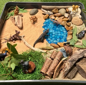 Explore the Australian outback with our small world tuff tray play.