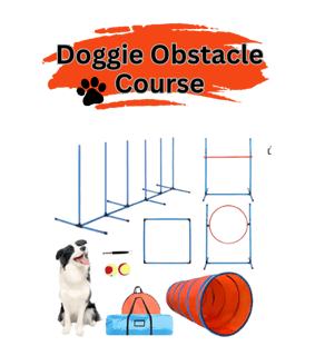 a  dog on a obstacle course