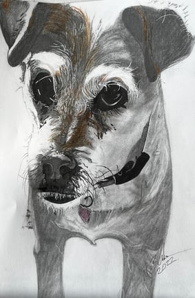 Freehand pencil drawing with ink. On paper.
