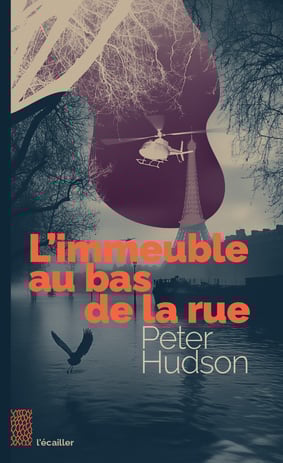 couverture du livre l'immeuble au bas de la rue