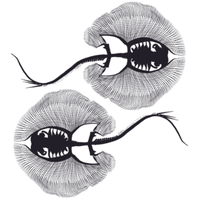 Fossil Oasis | Home logo