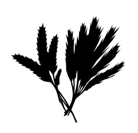 philsvodka logo