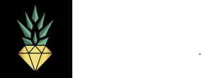 Life Style Riviera Maya logo