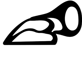 B-ORIGINAL logo