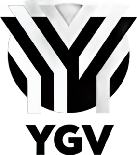 YGV Sistemas logo