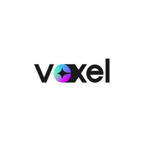 Voxelbr logo