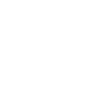 Mango Havana logo