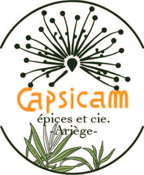 Capsicam logo