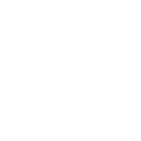 Arghir Prodex logo