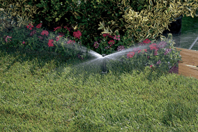 irrigation head spraying water