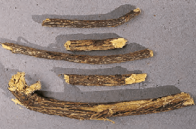Glycyrrhiza glabra - réglisse