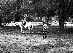 a man riding a horse in a field