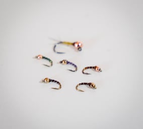 Zebra midges for the Watauga River