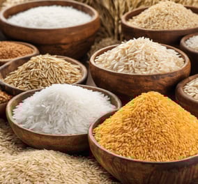 a variety of rice brans