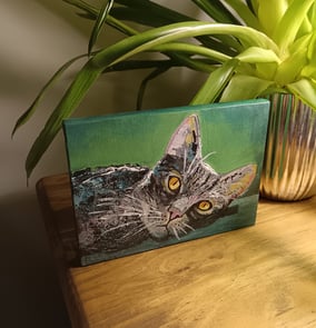 A painting of a cat, pet portrait