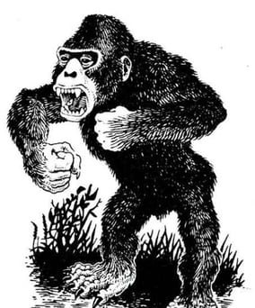 Carnivores Ape