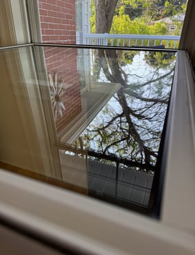 a window with a view of a tree in the background