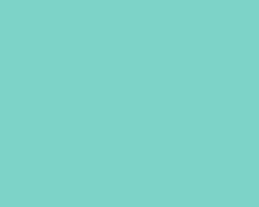 light green rectangle