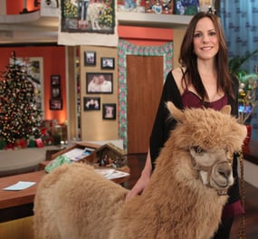 MARY LOUISE PARKER (WITH SPECIAL GUEST) ON THE BONNIE HUNT SHOW
