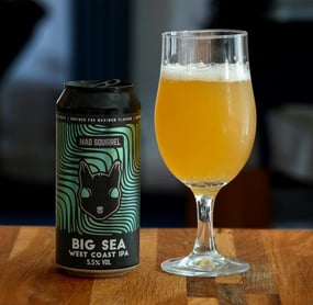 Photo by Brett Jordan: https://www.pexels.com/photo/a-glass-of-beer-next-to-a-can-of-beer-26954386/