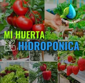 Aprende Huerta Hidroponica