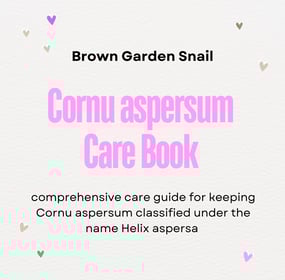 Helix aspersa garden snail care guide book