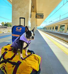 Yoki sitting on a suitcase at the train station in Milazzo, Sicily.