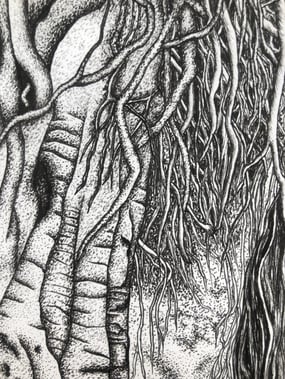 Ink drawing of an ancient banyan tree intertwined with aerial roots
