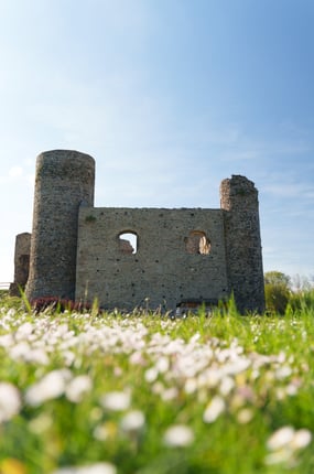 Château des cornes d'urfé