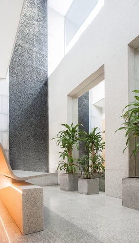 Natural light-filled lobby in Mallorca fertility clinic