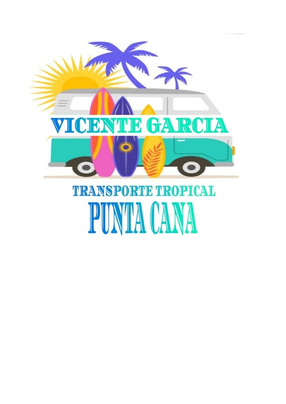 puntacanatransfervicentegarcia logo